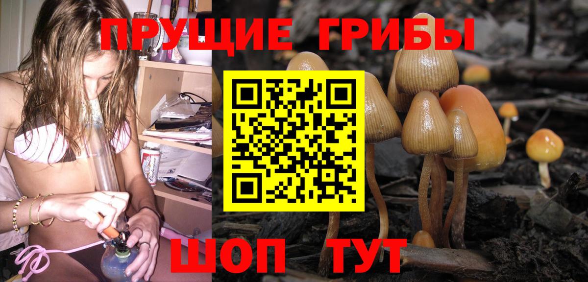 Тюмень  Галлюциногенные грибы мухоморы  Вход с VPN 