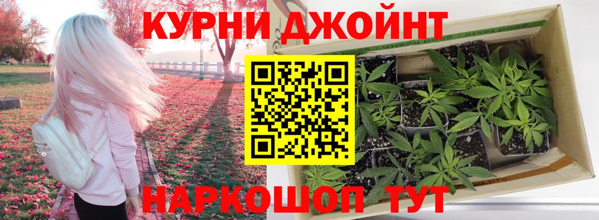Бошки марихуана сатива  Вход с VPN  Тюмень  Конопля планчик 
